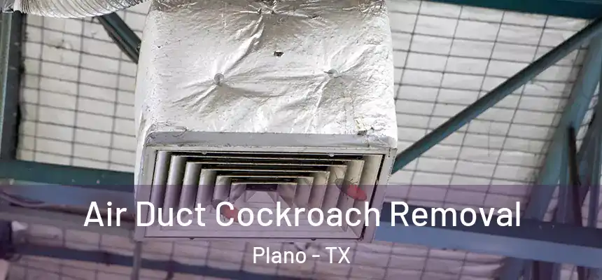 Air Duct Cockroach Removal Plano - TX