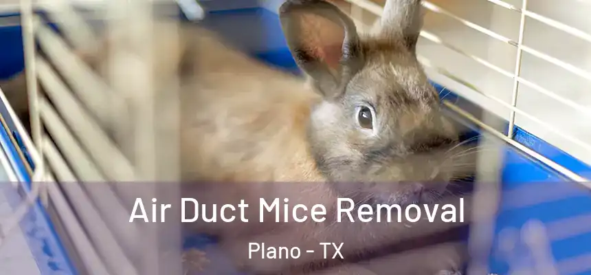 Air Duct Mice Removal Plano - TX