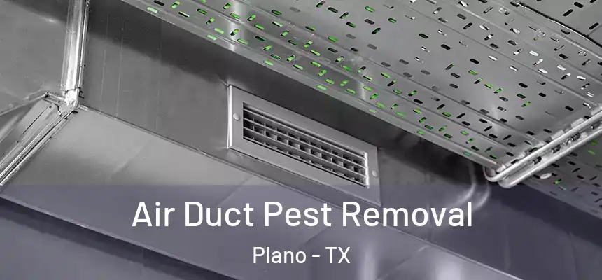 Air Duct Pest Removal Plano - TX