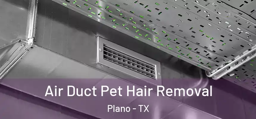 Air Duct Pet Hair Removal Plano - TX