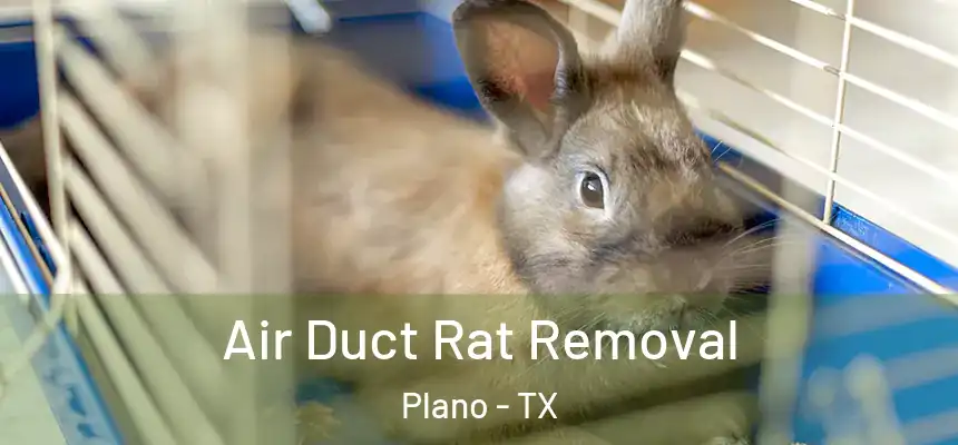 Air Duct Rat Removal Plano - TX