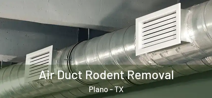 Air Duct Rodent Removal Plano - TX