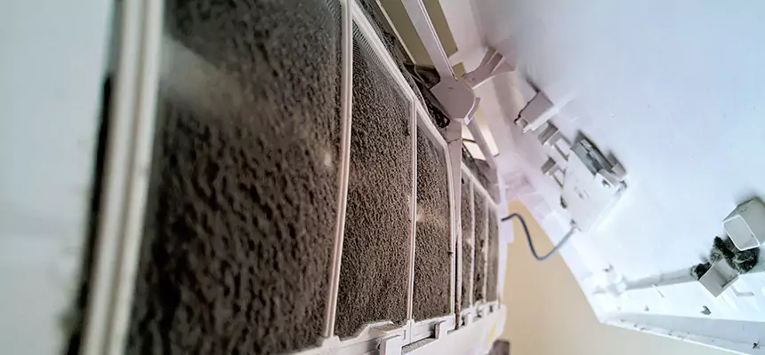 Preventive Air Duct Bacteria Removal in Plano