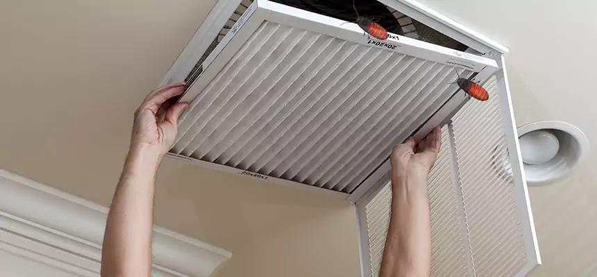 Preventive Cockroach-Proofing for Ducts in Plano