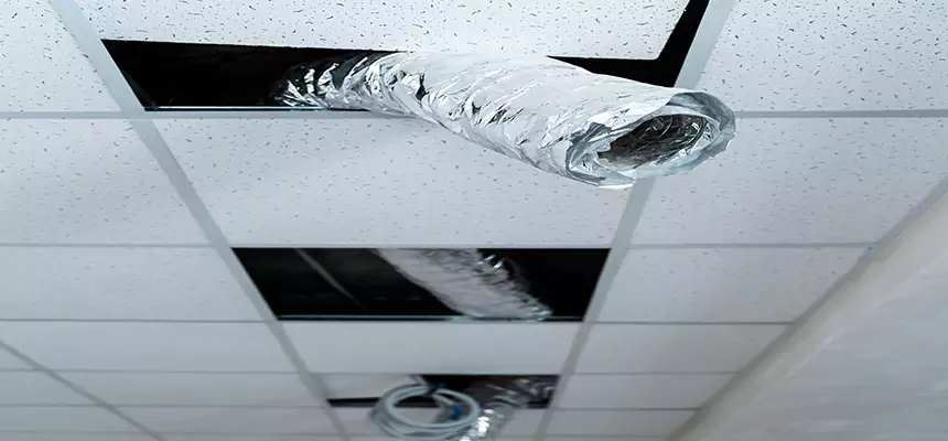 Our Air Duct Pet Hair Removal Services in Plano, TX