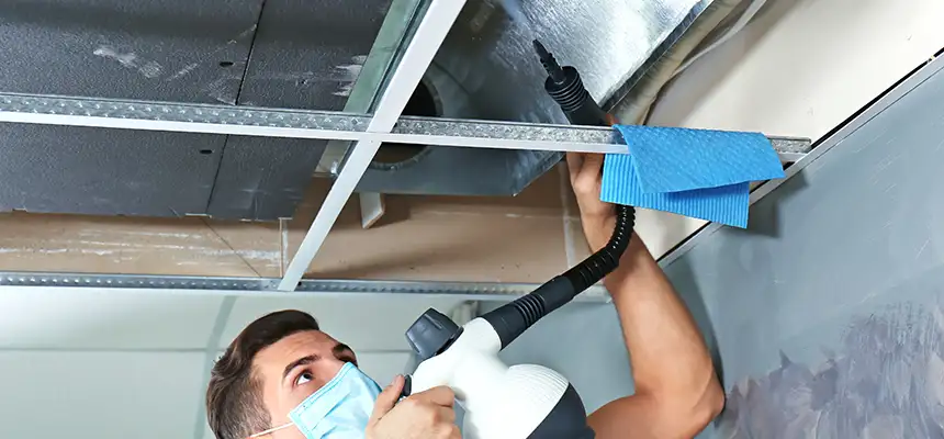 Our Air Duct Rodent Removal Services in Plano, TX