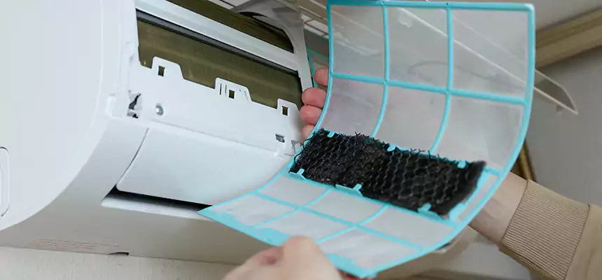 Gentle Ductwork Odor-Control Pet Dander Duct Cleaning in Plano, TX