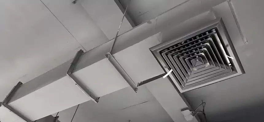 Our Rodent Droppings In Vents Services in Plano, TX