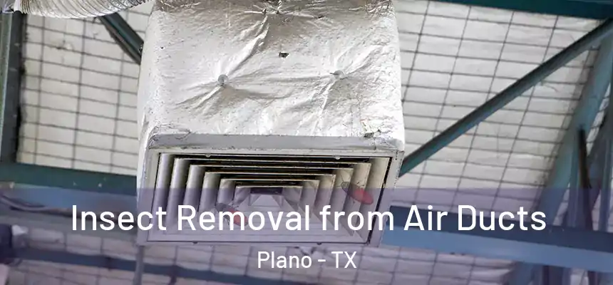 Insect Removal from Air Ducts Plano - TX