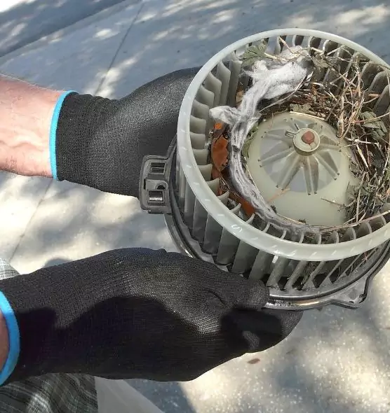 About Air Duct Rat Removal in Plano, TX