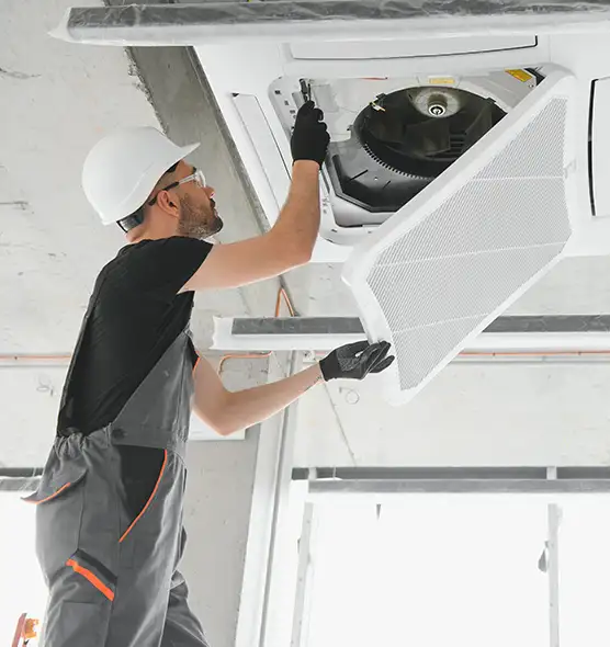 About Air Duct Rodent Removal in Plano, TX