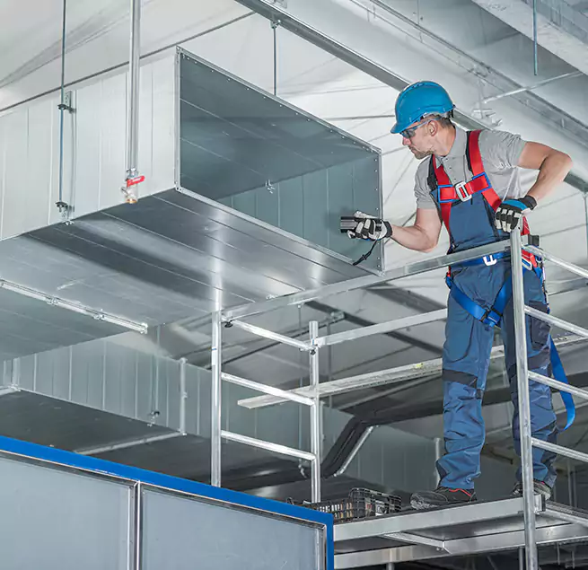 Why Homeowners & Businesses Trust Us in Plano, TX?