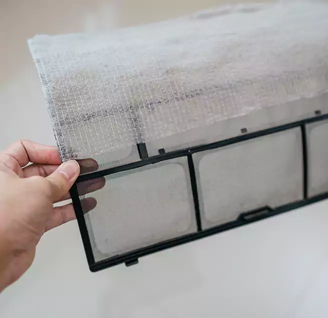 Why Homeowners & Businesses Trust Us in Plano, TX?