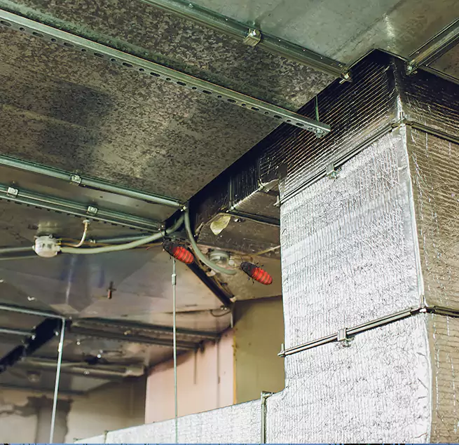 Why Homeowners & Businesses Trust Us Plano, TX?