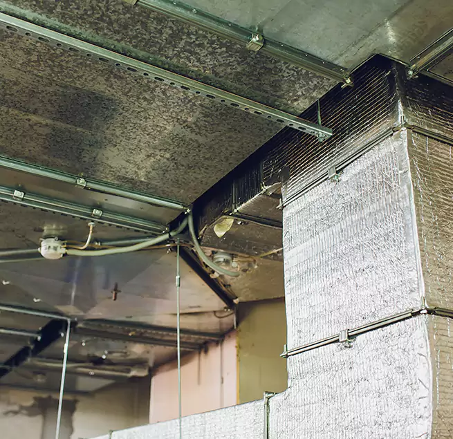 Why Homeowners & Businesses Trust Us in Plano, TX?