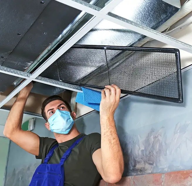 Why Homeowners & Businesses Trust Us in Plano, TX?