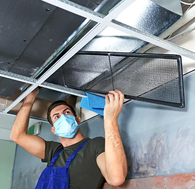 Why Homeowners & Businesses Trust Us in Plano, TX?